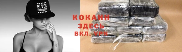 ешки Корсаков