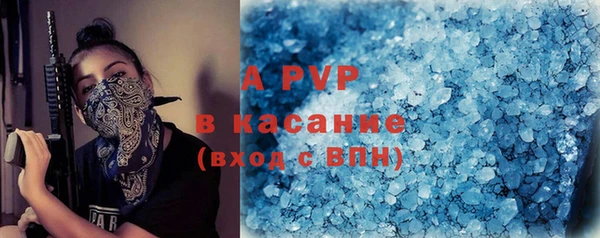 ешки Корсаков