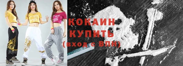 ешки Корсаков