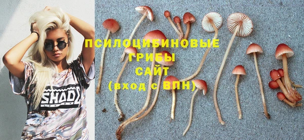 амф Костерёво