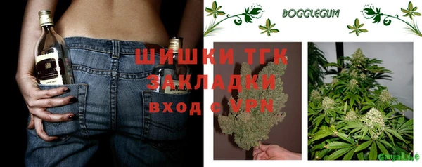 ешки Корсаков