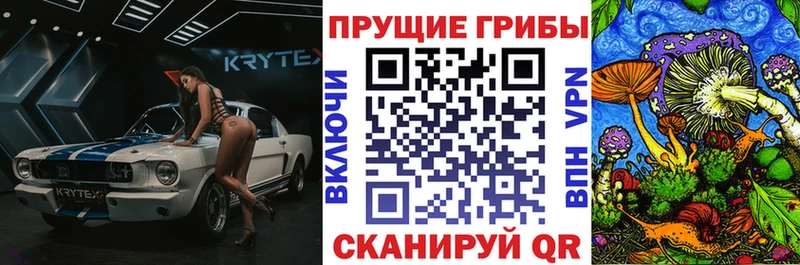 Псилоцибиновые грибы Magic Shrooms  Купить где  Купино 